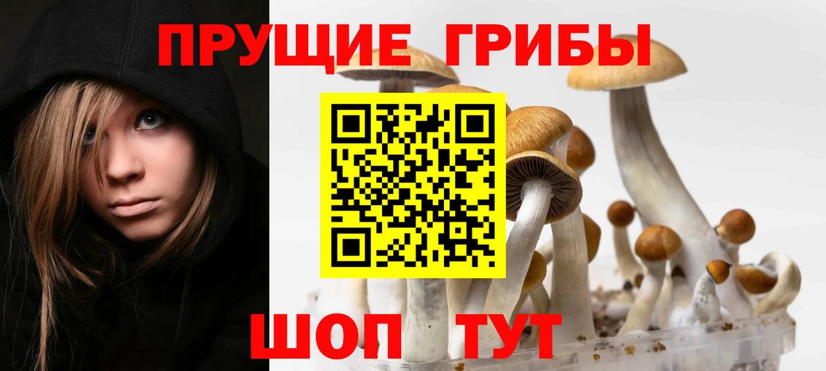 Лесозаводск  Псилоцибиновые грибы Cubensis  Вход с VPN 